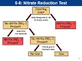 Quiz 4 information
