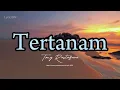 tertanam-tony q rastafara | lyric video