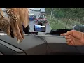 Download Lagu Iveco 580 díl 1