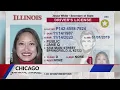 Illinois drivers license bill to make license digital