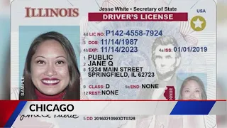 Illinois drivers license bill to make license digital