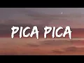 Pica Pica - Juan Reza (Lyrics)
