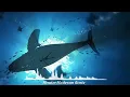 Download Lagu Katie Sky - Monster (Mushroom remix) | Hot Trend Music Tik Tok China | Wenexs Music |