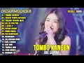 Download Lagu Tombo Kangen, Tangis Tanpa Air Mata - Dike Sabrina Full Album Terbaru 2025 Lagu Jawa Dangdut Koplo