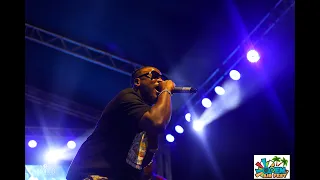 peruzzi live performance at open air fest
