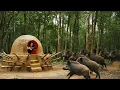 Download Lagu I Survived a Wild Boar Stampede with My DIY Shelter