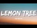 Post Malone - Lemon Tree