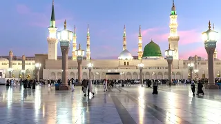                                بث مباشر    قناة السنة النبوية          دندنها