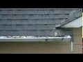 Home Depot Gutter Guard trying but failing to work with fir needles