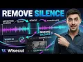 Remove Silences In Wisecut Effortless