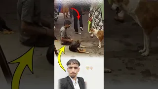 مؤلم جدا ان نرى من يرحم مخلوق وهو بنفسه محتاج الى الرحمة Like Fyp Viral Shorts 