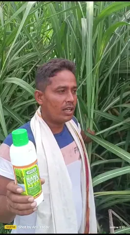 नई तकनीक और नई खाद नैनो यूरिया प्लस का गन्ने की फसल पर कमाल का असर, सुनिए