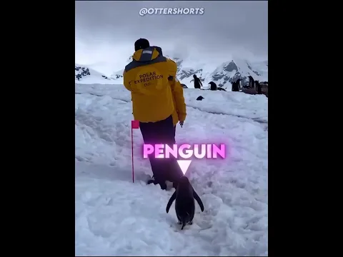 They Were Blocking His Way ❤️