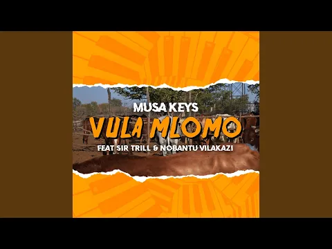 Download MP3 Vula Mlomo