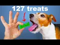 Download Lagu I Crushed Every Dog Treat Into One Treat