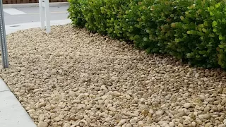 How to install Commercial River Rock Install