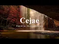Cejae - Psalm 51 (instrumental)