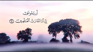 استمع لهذه التلاوة الجميلة من سورة القصص القارئ احمد خضر 