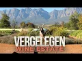 Discover Vergelegen in Somerset West Cape Town s Historic Wine Paradise