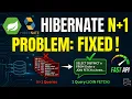 Hibernate N 1 Problem in Spring Boot Explained Fixed Live Demo