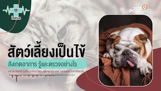 ทำไมไม่ควรให้ยาลดไข้สำหรับคนกับสัตว์เลี้ยง