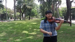 Unity Alan X Walkers Violin Cover By Flavia Hartono 