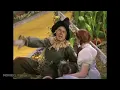 If I Only Had a Brain - The Wizard of Oz (4/8) Movie CLIP (1939) HD