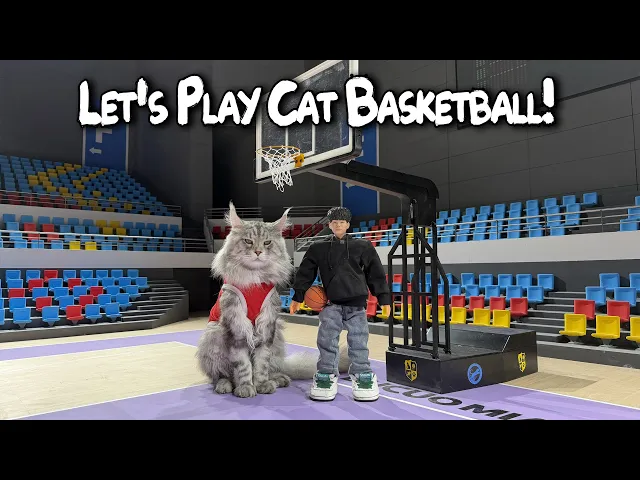 Can a Cat Dunk a Basketball?