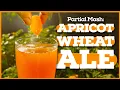 PARTIAL MASH BREWING - Beginner s Guide Apricot Wheat Beer Recipe