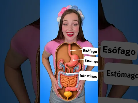 😲 ¿A dónde va la comida dentro de tu cuerpo? | Ciencia para niños #shorts
