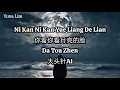 Ni Kan Ni Kan Yue Liang De Lian 你看你看月亮的脸 Da Tou Zhen 大头针AI Lyrics