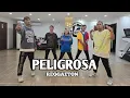 Download Lagu PELIGROSA by: Wisin, Shaggy, Anitta, Maffio| REGGAETON| CHOREOGRAPHY BY: EFORCE PH