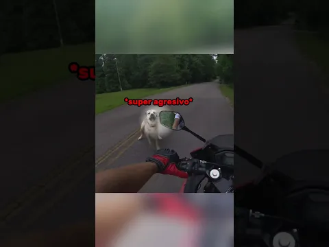Confrontó Al Dueño Y Pasó Esto!😲
