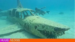 I CAN’T BELIEVE I MISSED OUT ON THIS FOR YEARS…