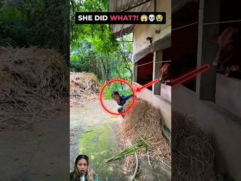 This is way too funny #shorts #funny #fail #viral #trending