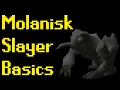 Basic Molanisk Slayer Guide 2021 OSRS