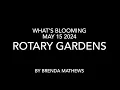 Rotary Gardens May 16 2024