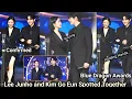 Lagu Lee Junho and Kim Go Eun Spotted Together holding Hand at the Blue Dragon Awards! Fans Go Wild