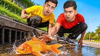 We Found an Abandoned Fish on the Road!