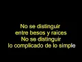 Heroes Del Silencio - La chispa adecuada (Versión Rarezas) - Karaoke