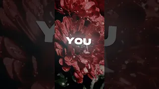 Prinz Highs Lows Lyrics I Ll Be There For The Highs And Lows 