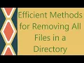 Efficient Methods for Removing All Files in a Directory