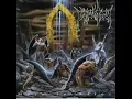 Immolation - I Feel Nothing