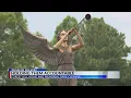 Has Forest Hill cemetery cleaned up its act as promised The Problem Solvers check