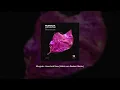 Download Lagu Murguia - Here And Now (Kebin van Reeken Remix) [La Foresta Recordings]