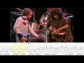 Albert Lee Has Been RIPPING The Guitar For 50 YEARS - Country Shred