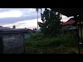 Download Lagu Sp.walet pajero 999 Dibelakang rumah saya mantap..