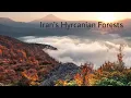 Lagu Iran’s Hyrcanian Forests in Autumn ,UNESCO World Heritage