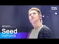 Download Lagu TAEYANG(태양) - Seed(나의 마음에) @인기가요 inkigayo 20230430