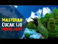 Download Lagu Masteran Cucak Ijo Suara Mesin Jahit